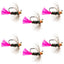 Premium Tungsten Bead Tactical Blow Torch Nymph Flies - Set of 6 Size 12 - Korvel