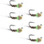 Premium Tactical Jigged Pheasant Tail Nymphs - Chartreuse - Size 14 (Set of 6) - Korvel