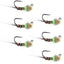 Chartreuse Tactical Jig Pheasant Tail Nymphs - 6 Size 12 Flies - Korvel