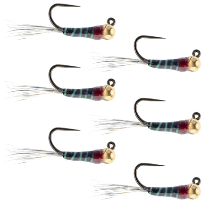 Premium Tungsten Bead Tactical Jig Flies for Euro Nymphing - 6 Pack Size 16 - Korvel