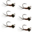 Premium Tungsten Bead Pheasant Tail Tactical Jig Flies - Size 16 (Set of 6) - Korvel