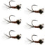 Premium Tungsten Bead Pheasant Tail Tactical Jig Flies - 6 Pack Size 14 for Euro Nymphing - Korvel