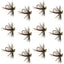 Premium Tungsten Bead Pheasant Tail Tactical Jig Flies - 12 Pack Size 14 for Euro Nymphing - Korvel