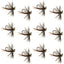 Premium Tungsten Bead Pheasant Tail Tactical Jig Flies - 12 Pack Size 12 - Korvel