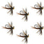 Premium Tungsten Bead Pheasant Tail Tactical Jig Flies - Set of 6 Size 16 - Korvel