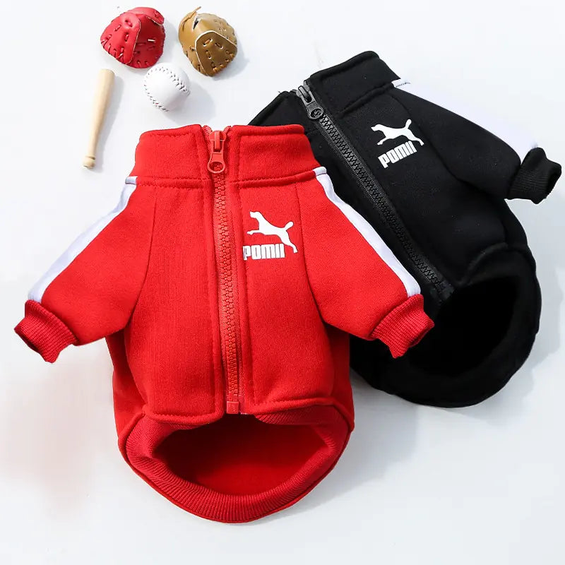 Hoodie de luxe pour chien d'hiver