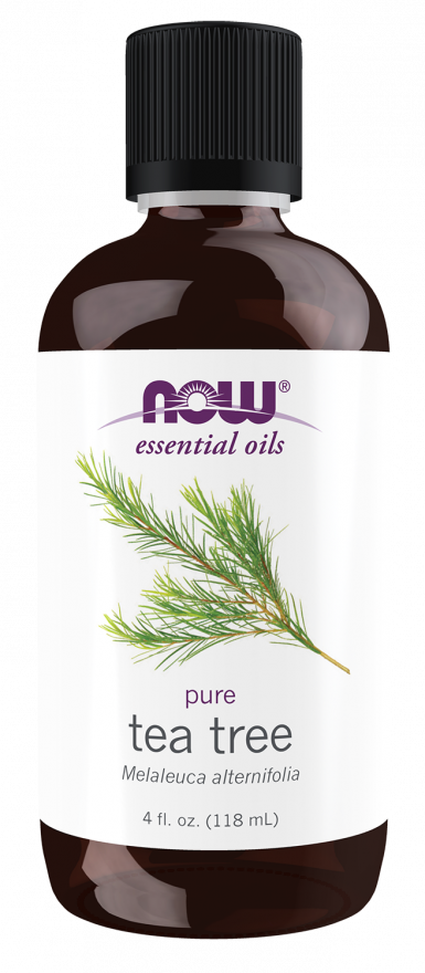 Pure Tea Tree Essential Oil for Natural Healing - Korvel