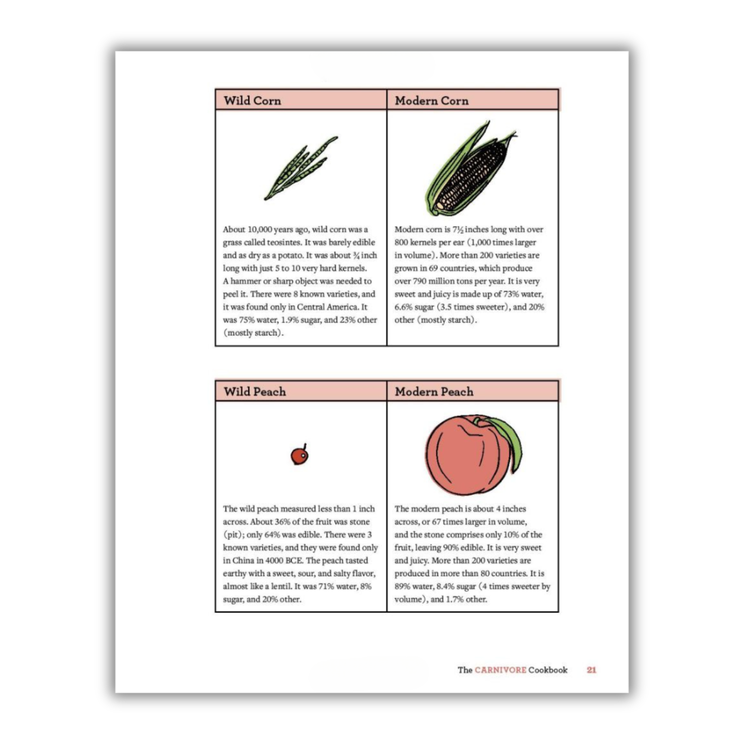 The Carnivore Cookbook (Spiral Bound) - Korvel