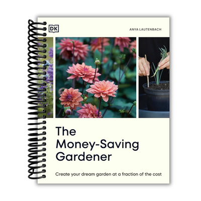 Budget-Friendly Gardening: Transform Your Space with Anya the Garden Fairy - Korvel