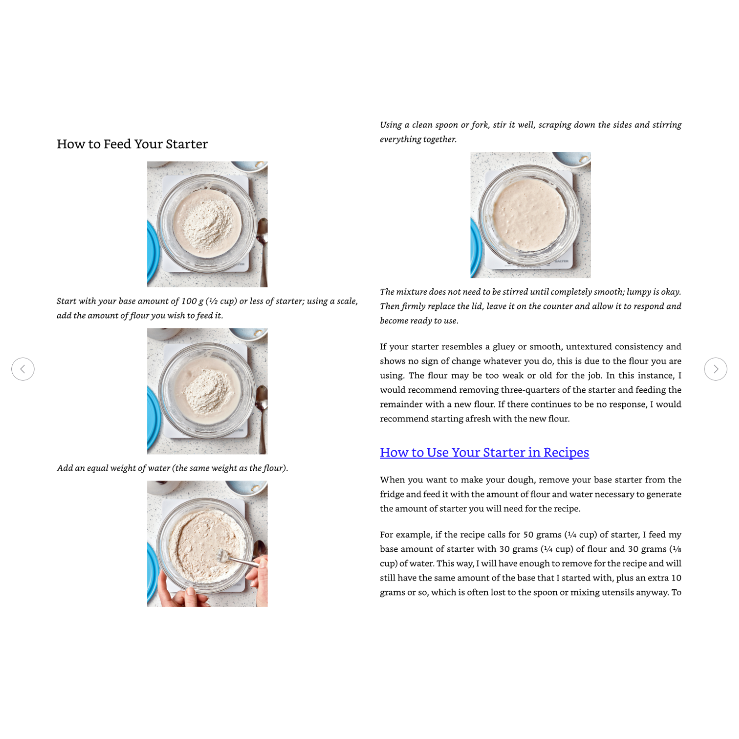 Mastering Sourdough: Your Ultimate Baking Companion (Spiral Bound) - Korvel