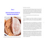 Mastering Sourdough: Your Ultimate Baking Companion (Spiral Bound) - Korvel