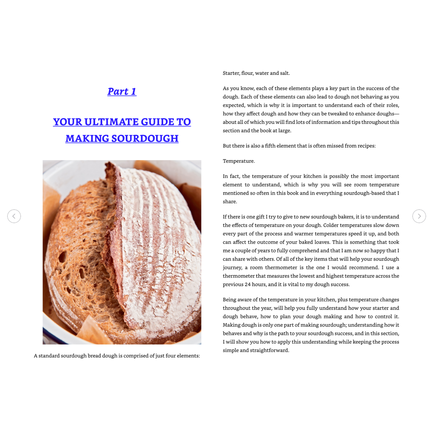 Mastering Sourdough: Your Ultimate Baking Companion (Spiral Bound) - Korvel