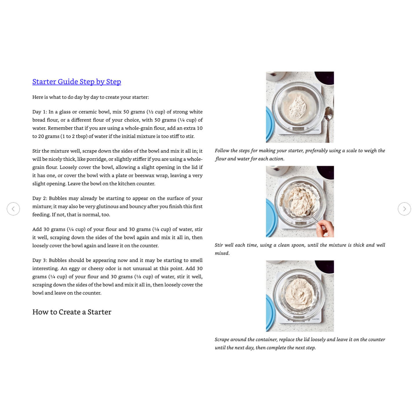 Mastering Sourdough: Your Ultimate Baking Companion (Spiral Bound) - Korvel