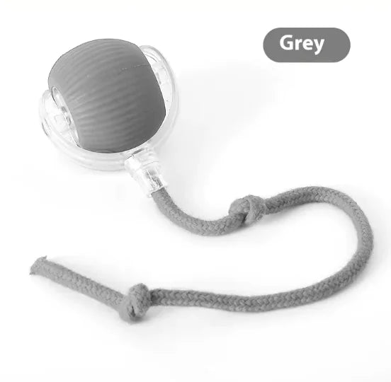 Interactive Cat Toy Ball with Motion Sensor and Chirping Sounds