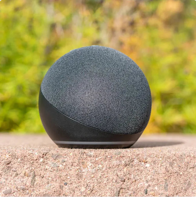 Haut-parleur Wi-Fi intelligent pour l'apprentissage de l'anglais