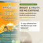 Thé énergisant Moringa avec orange et fruit de la passion