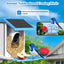 Nourrisseur à oiseaux solaire intelligent avec caméra