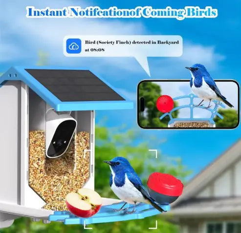 Nourrisseur à oiseaux solaire intelligent avec caméra