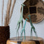 Figurines de girafes en laiton Tuareg