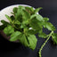 Premium Tulsi Holy Basil Leaf Granules