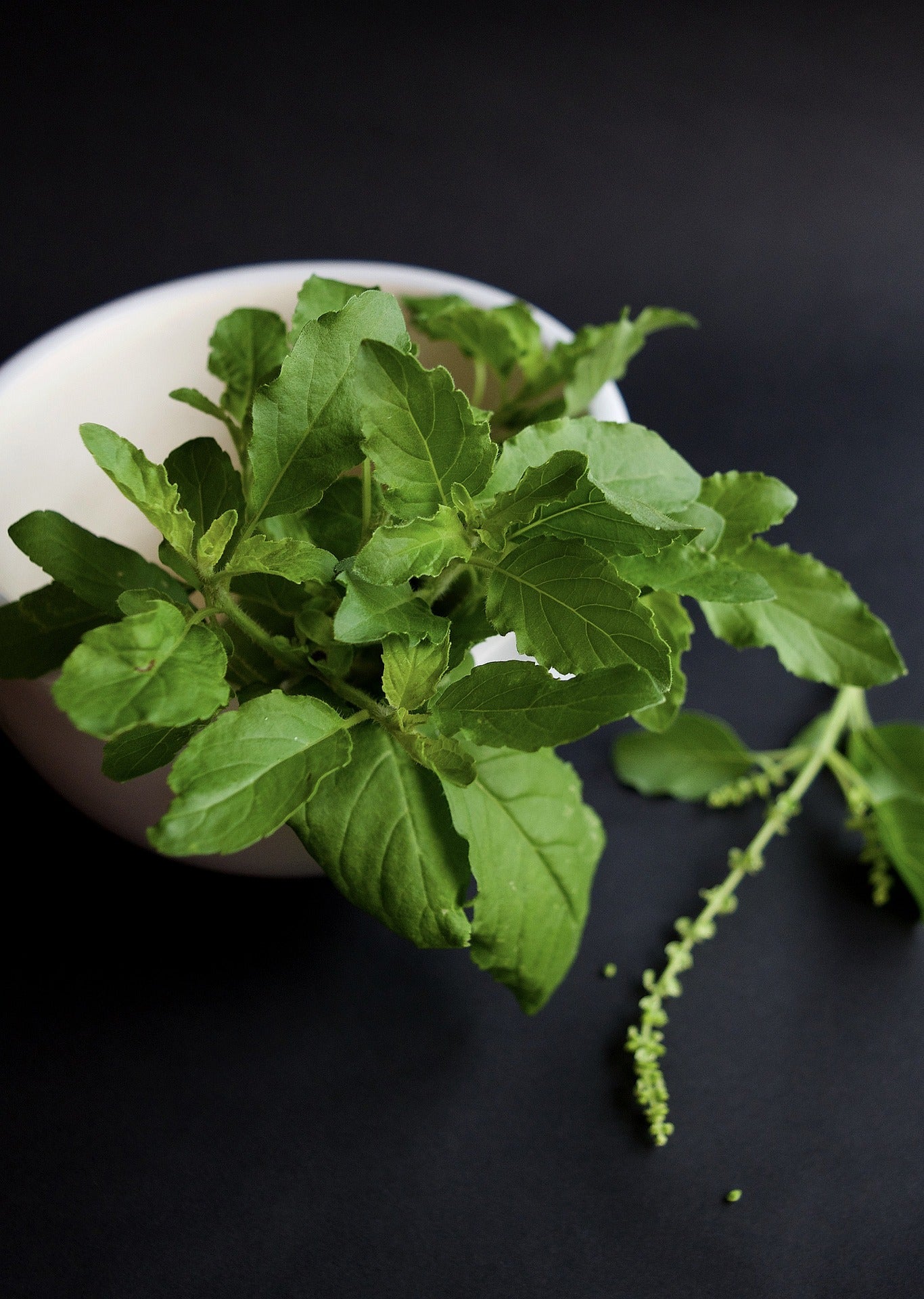 Premium Tulsi Holy Basil Leaf Granules