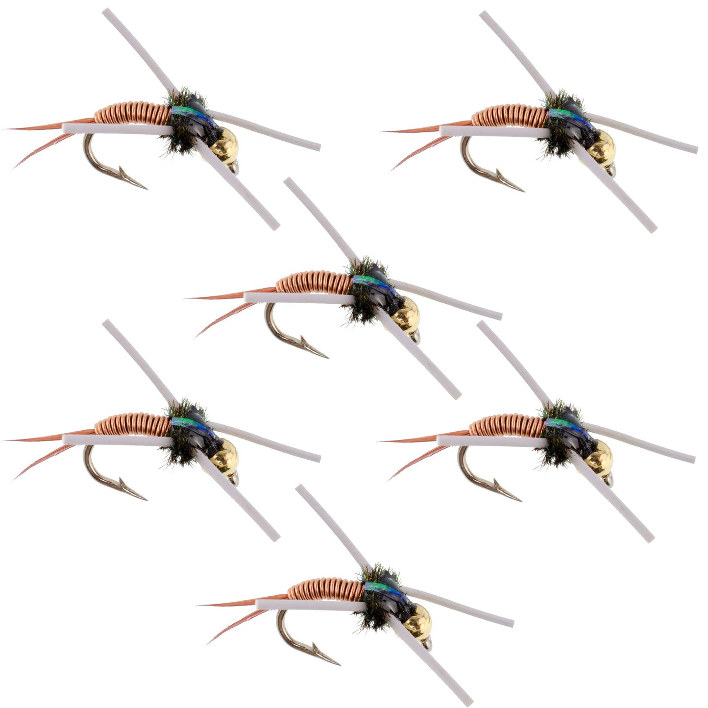 Premium Tungsten Bead Head Rubber Legged Nymph Flies - Set of 6 Size 12 - Korvel