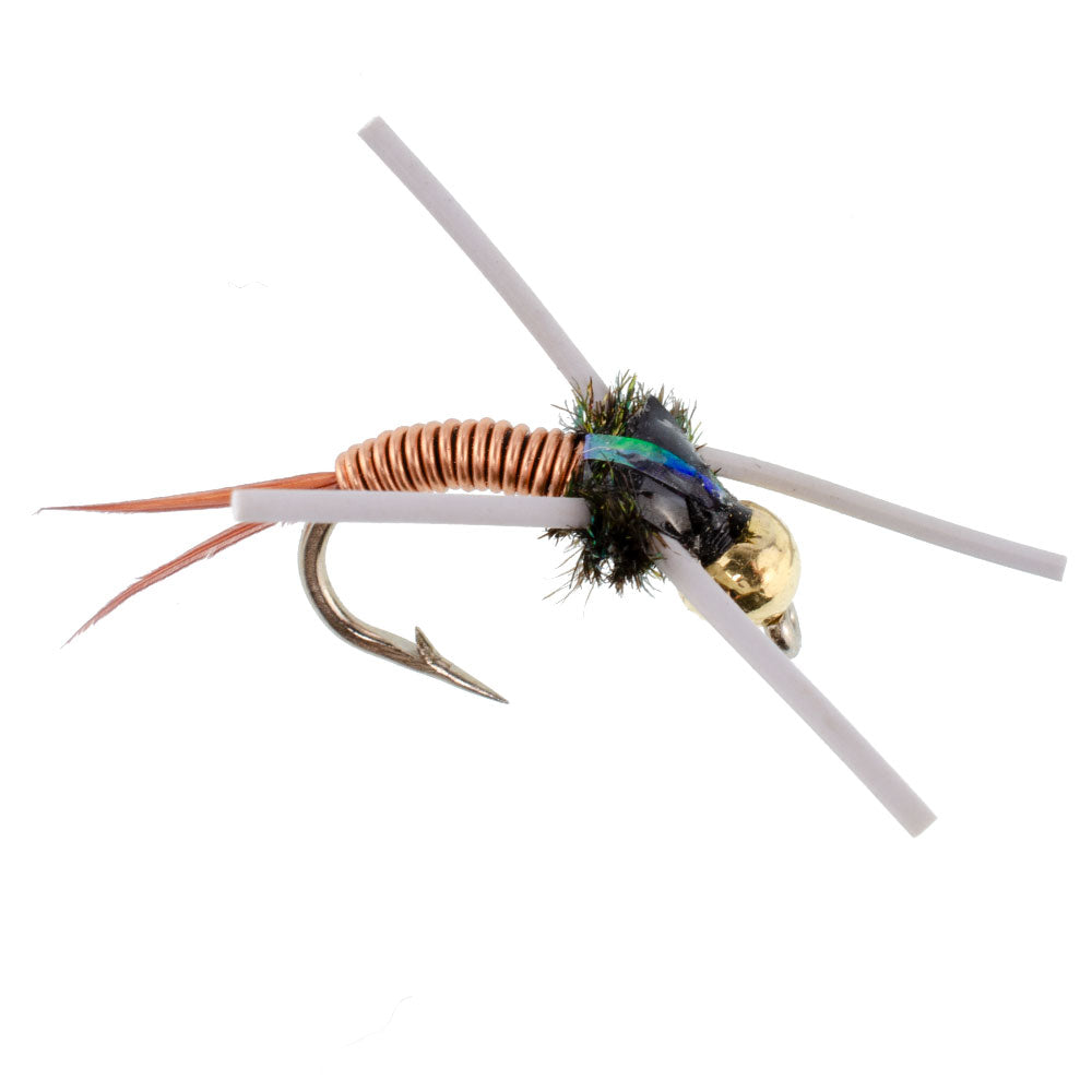 Premium Tungsten Bead Head Rubber Legged Nymph Flies - Set of 6 Size 12 - Korvel