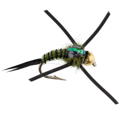 Premium Tungsten Bead Head Nymph Flies with Rubber Legs - Black Olive Zebra Copper John - 12 Pack Size 12 - Korvel