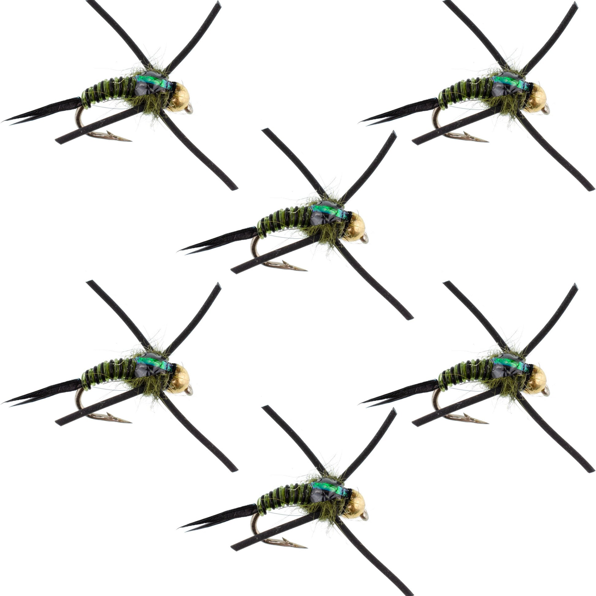 Premium Tungsten Bead Head Nymph Flies with Rubber Legs - Black Olive Zebra Copper John - Set of 6 (Size 16) - Korvel