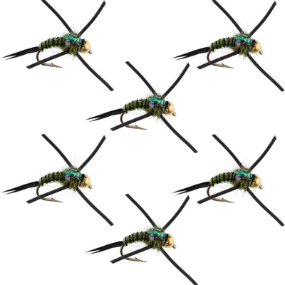 Premium Tungsten Bead Head Nymph Flies with Rubber Legs - Black Olive Zebra Copper John - Set of 6 (Size 16) - Korvel