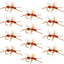Turcks Power Flying Ant Cinnamon Trout Dry Fly - 12 Pack
