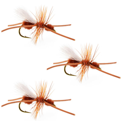 Pack de 3 mouches Turcks Power Flying Ant Cinnamon Terrestrial Trout Dry - Taille 12