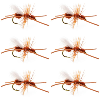 Mouches sèches Turcks Power Flying Ant Cinnamon Terrestrial Trout - Taille 12 (6 Mouches)