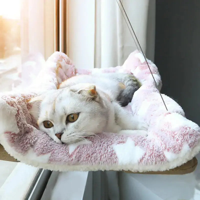 Hamac suspendu pour chat avec ventouses