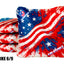 USA 'MERICA - Premium ACO Stamped Pro Cornhole Bags - All Speeds Available - Korvel
