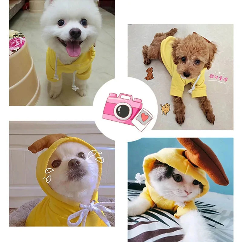 Manteau d'hiver pour chien à thème fruité