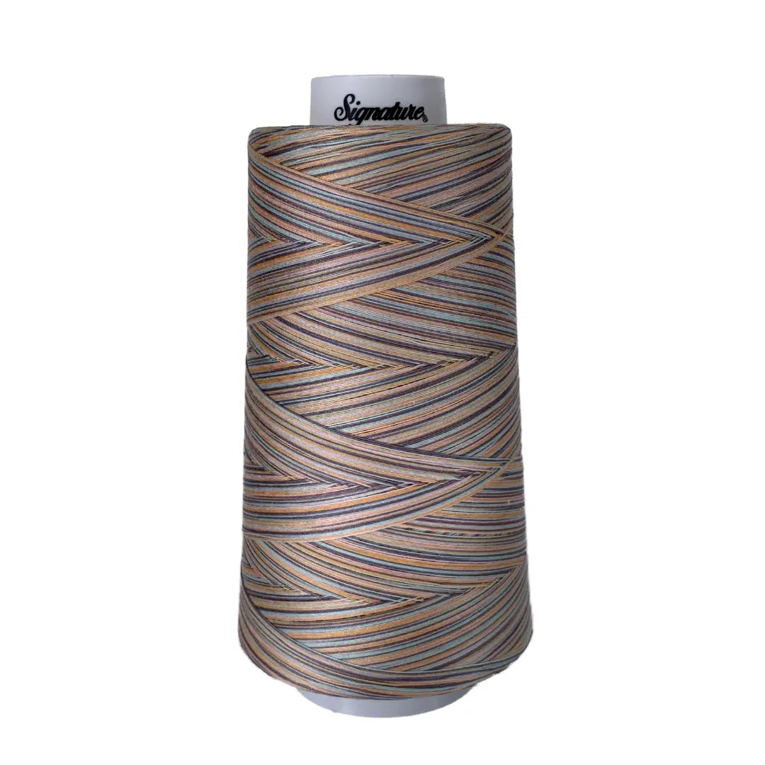 Hilo Variegado de Algodón Signature Early Sunset F254