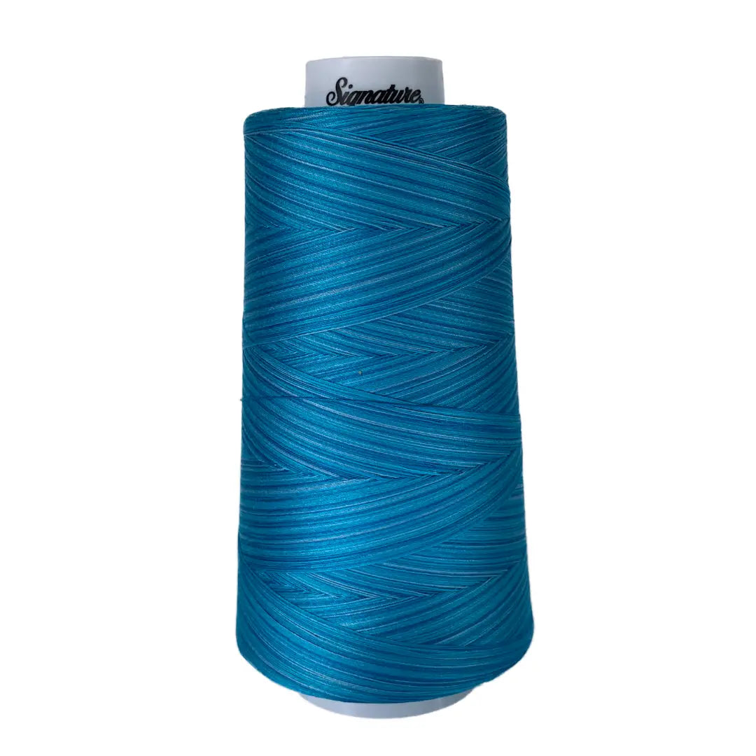 Fil en coton variegé Dreamy Blues Signature