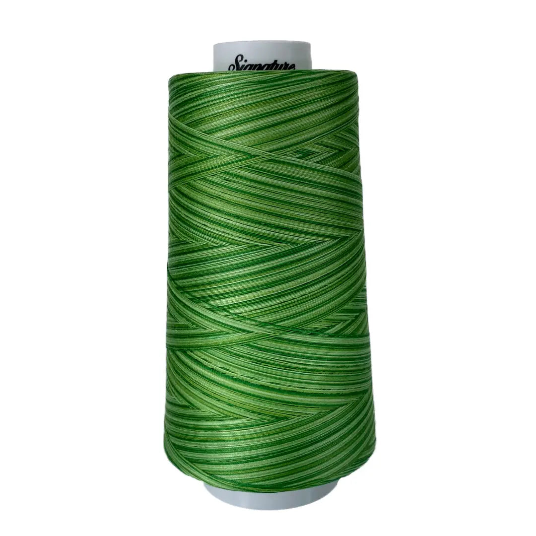 Fil Variegé en Coton Printemps Herbe F259