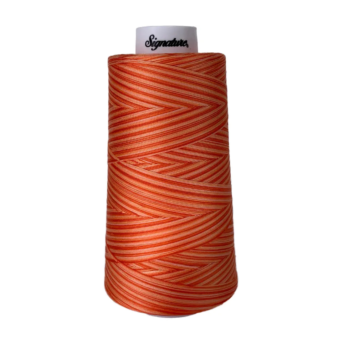 Fil en coton variegé F261 Orange Craze