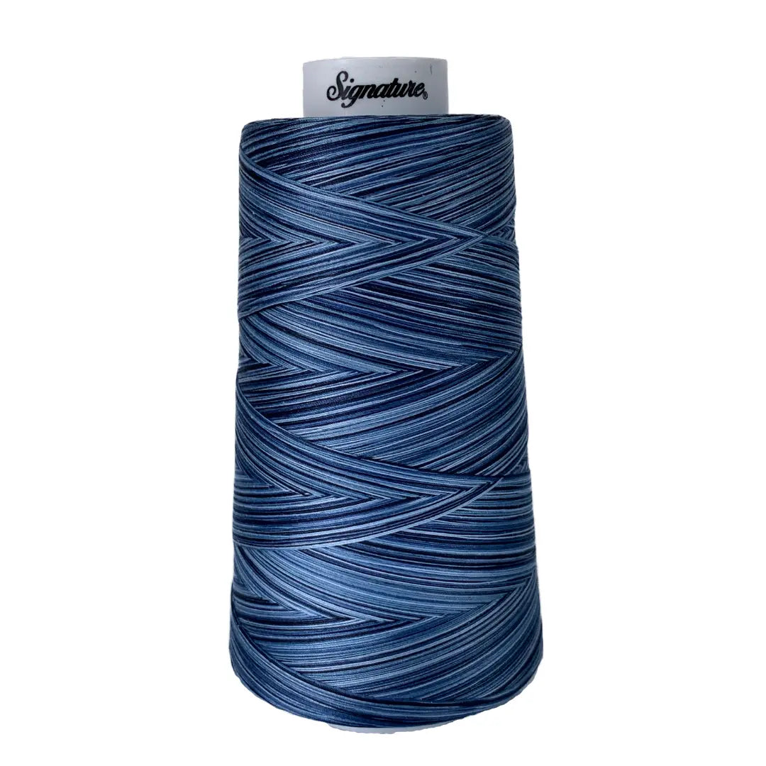 Hilo Variegado de Algodón Firmado M05 Denim