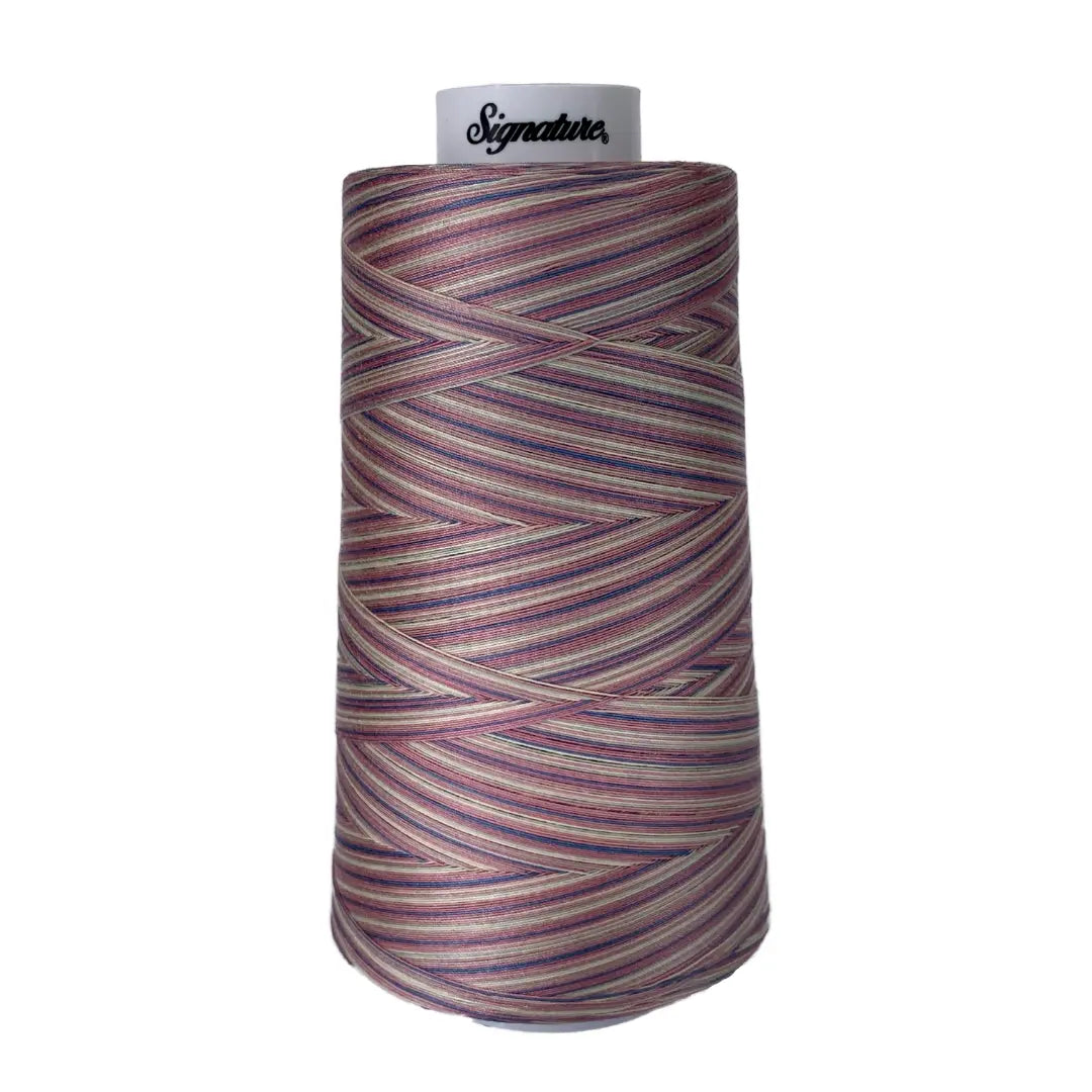Fil en coton signature variegé victorien M06