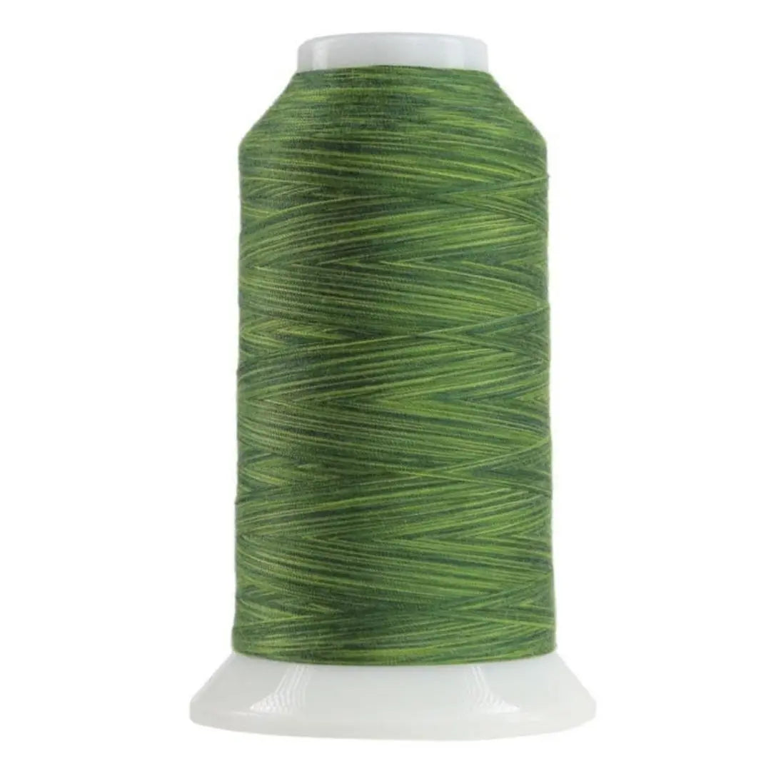 Hilo de poliéster variegado Verdant Omni - 2000 yardas