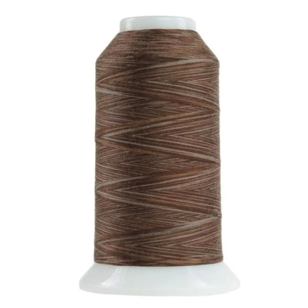 Fil en polyester variegé chocolat Omni