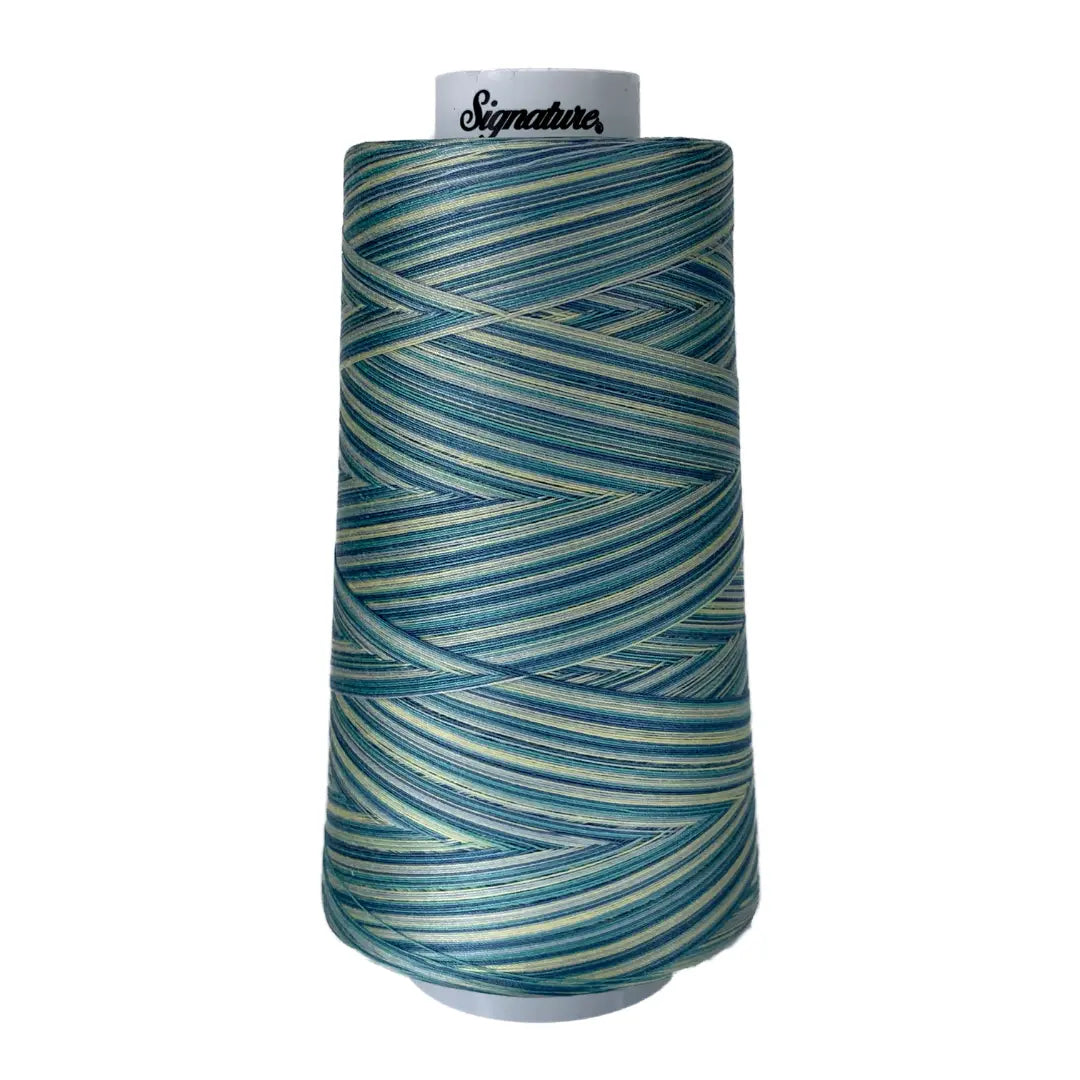 Fil en coton variegé F151 St Thomas Signature