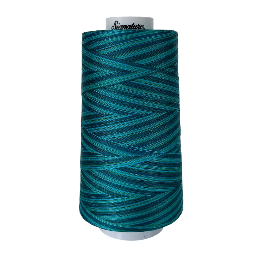 Fil en coton variegé M18 Island Waters Signature