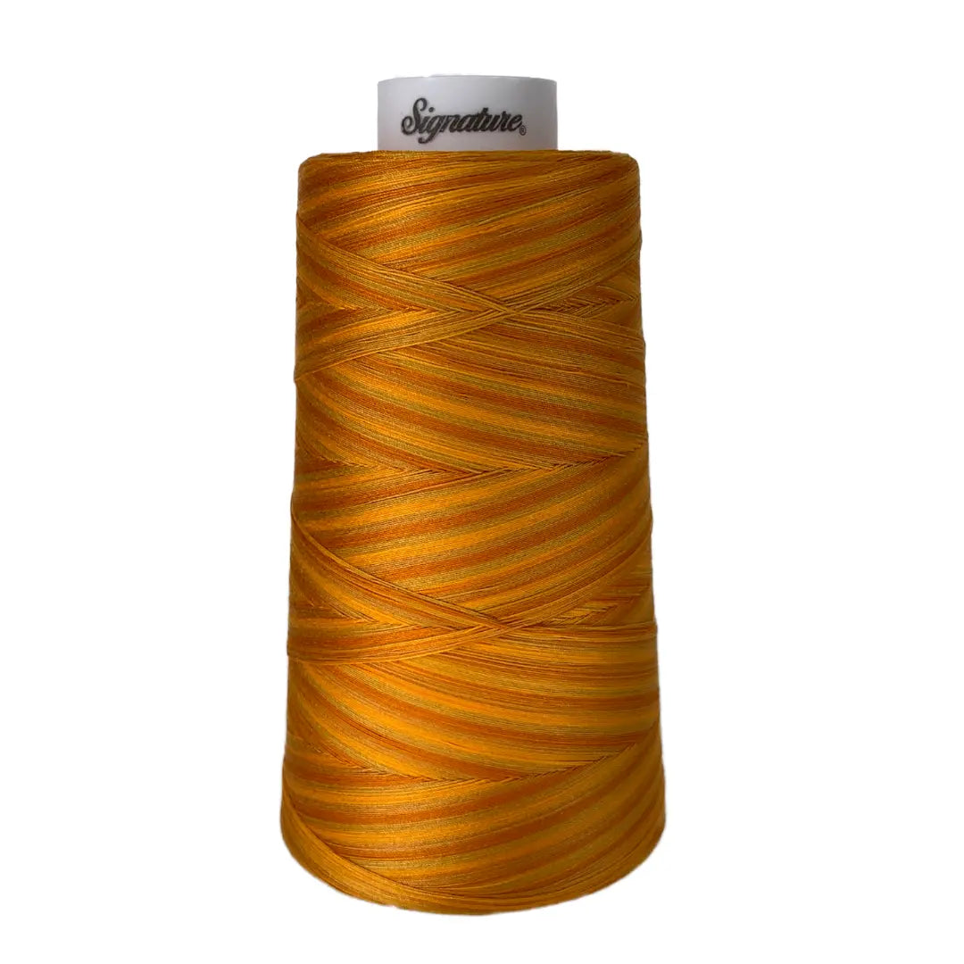 Fil en coton variegé M76 Jaunes Bronzés Signature