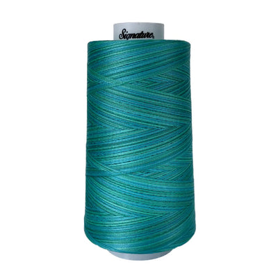 Fil en coton variegé M83 Aqua Waters Signature