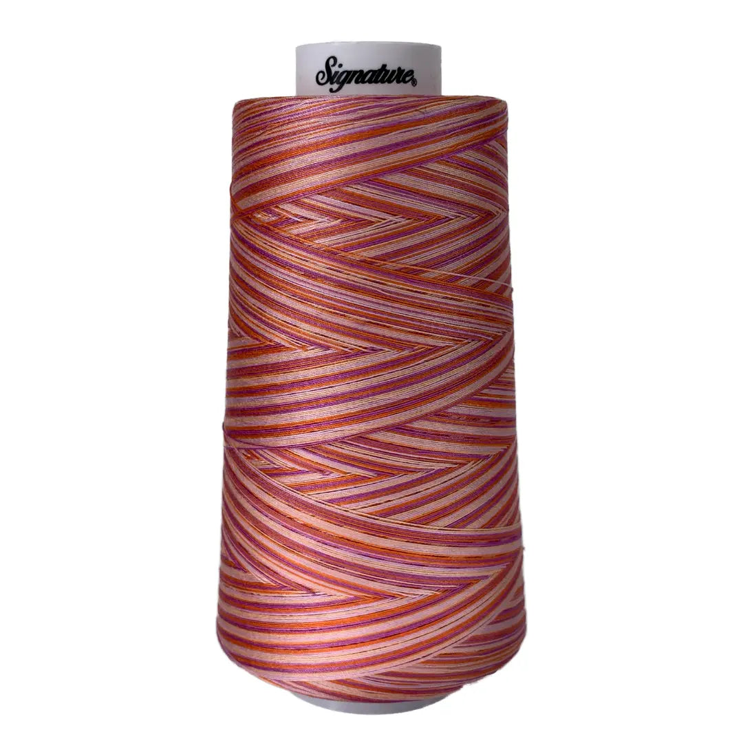 Hilo Variegado de Algodón Signature Cotton Candy F154