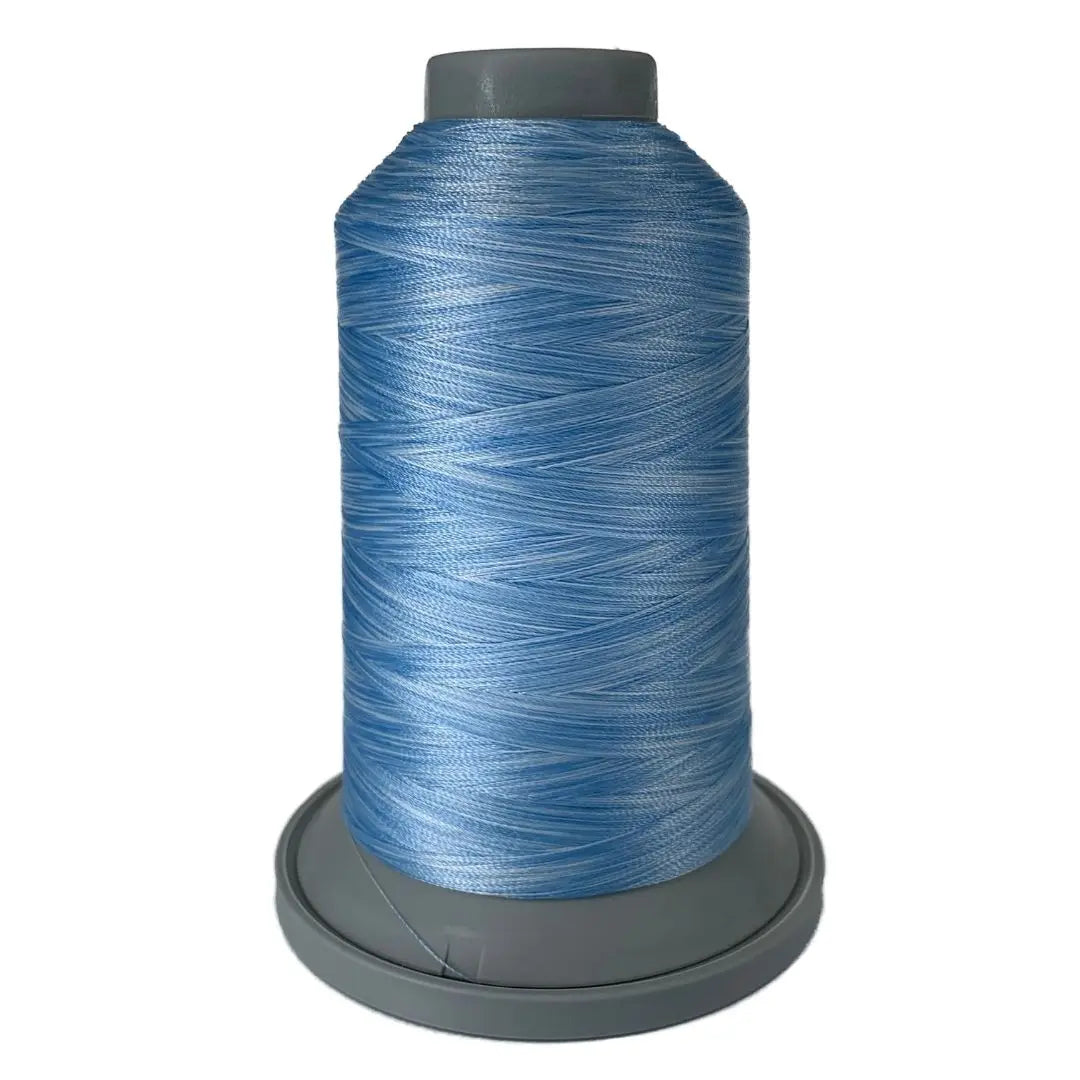 Fil en polyester variegé Carolina Affinity 60292